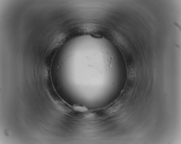 X0000099230456200804241456