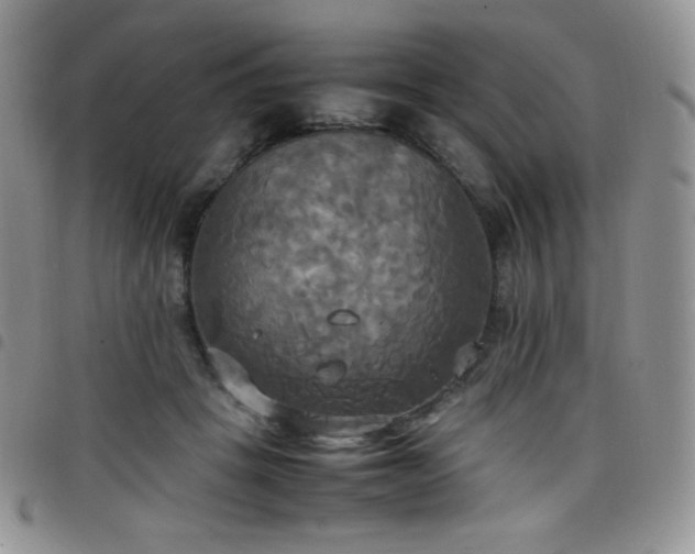 X0000099230457200804241456