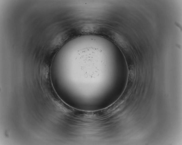 X0000099230458200804241456