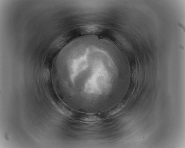 X0000099230459200804241456