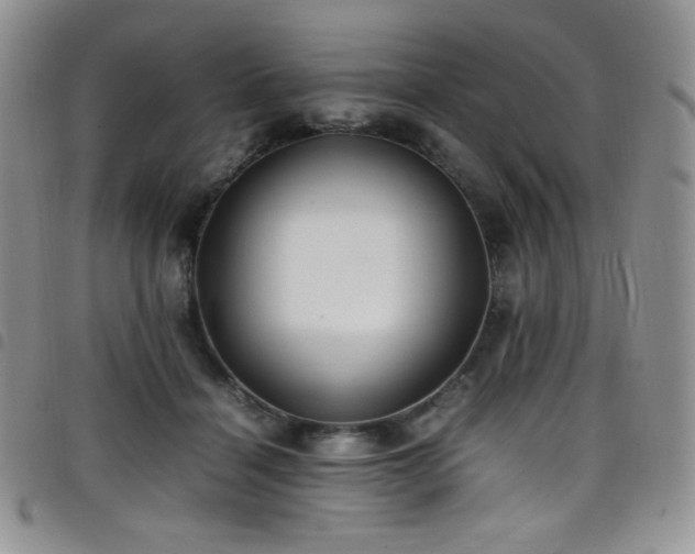 X0000099230460200804241456