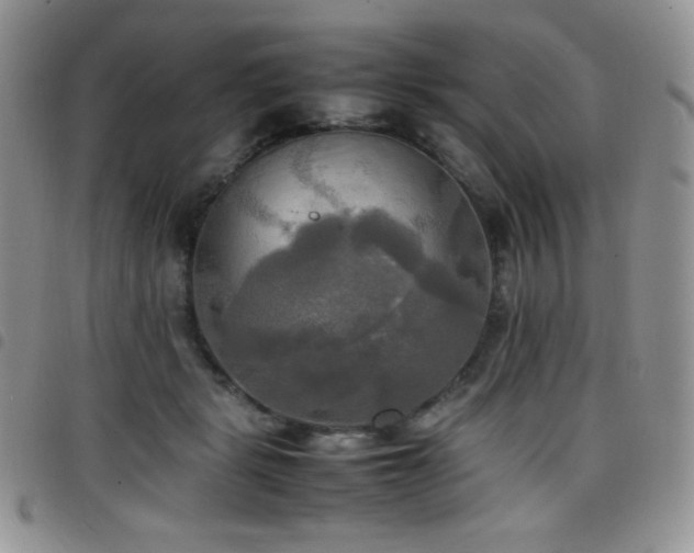 X0000099230461200804241456