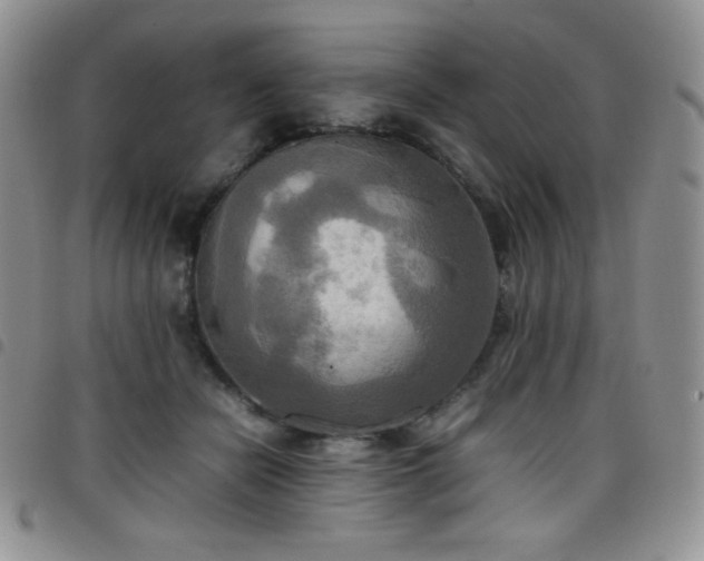 X0000099230462200804241456