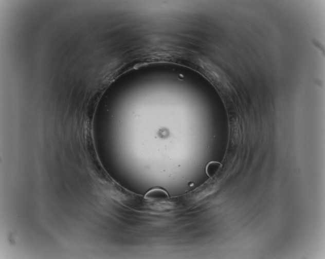 X0000099230463200804241456