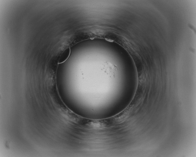 X0000099230464200804241456