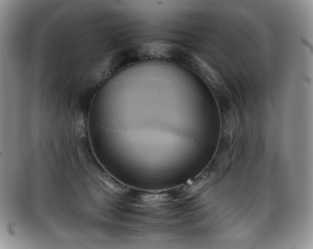 X0000099230465200804241456