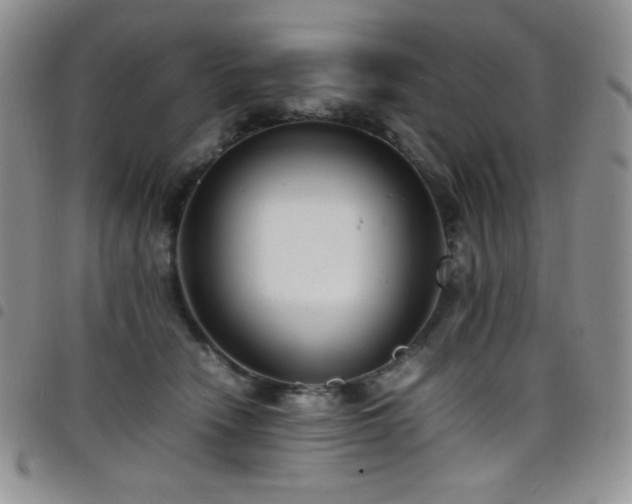 X0000099230466200804241456