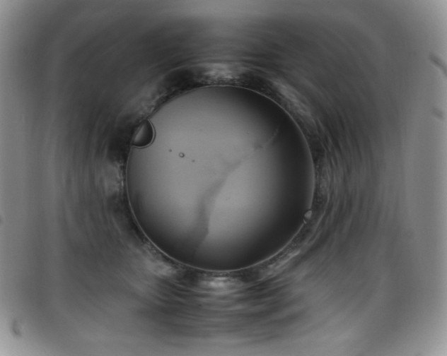 X0000099230467200804241456