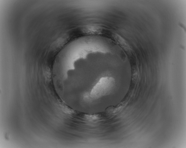 X0000099230469200804241456