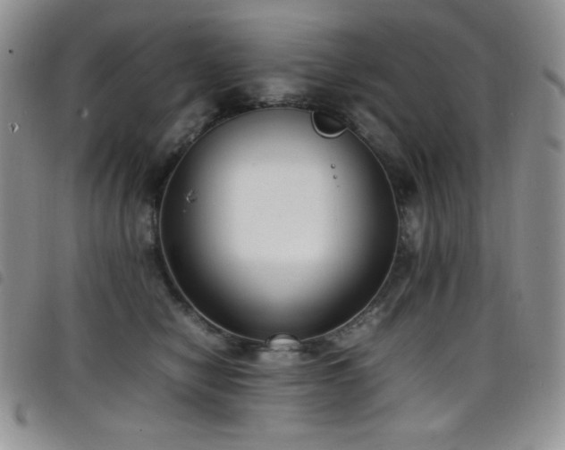 X0000099230470200804241456