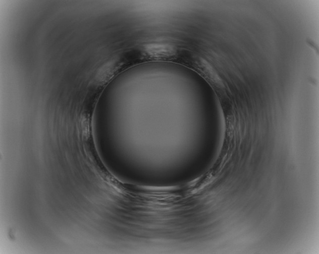 X0000099230471200804241456