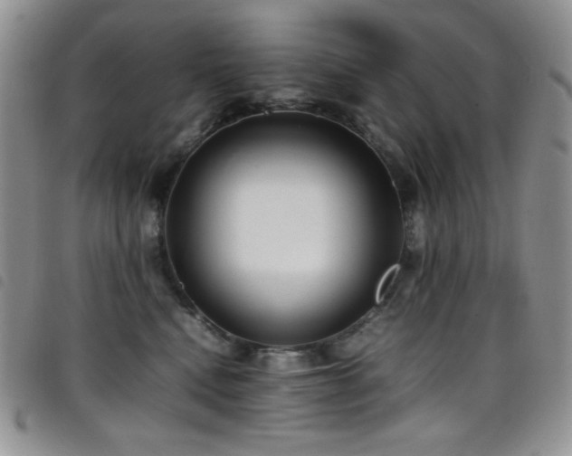 X0000099230472200804241456