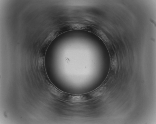 X0000099230473200804241456