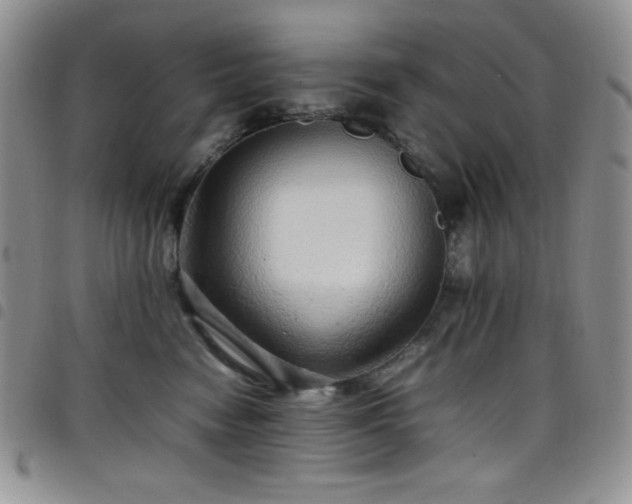 X0000099230474200804241456