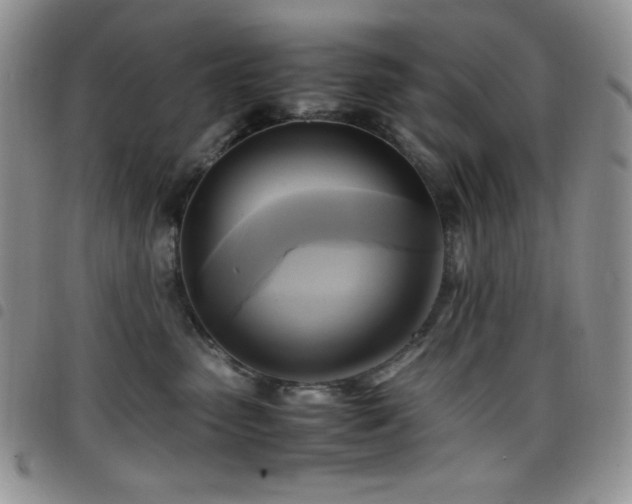 X0000099230475200804241456