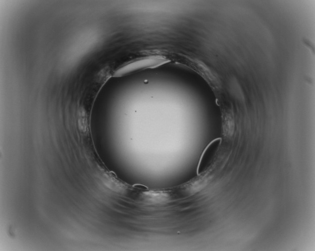 X0000099230477200804241456