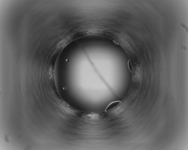 X0000099230478200804241456