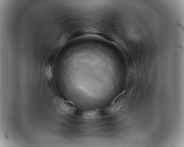 X0000099230479200804241456