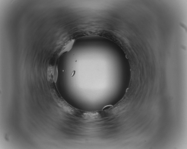 X0000099230480200804241456