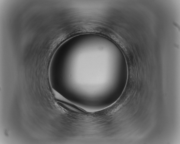 X0000099230481200804241456