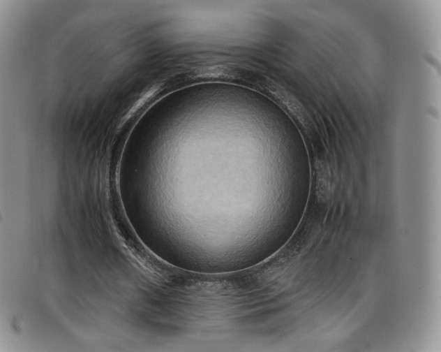 X0000099230482200804241456