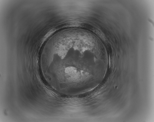 X0000099230483200804241456