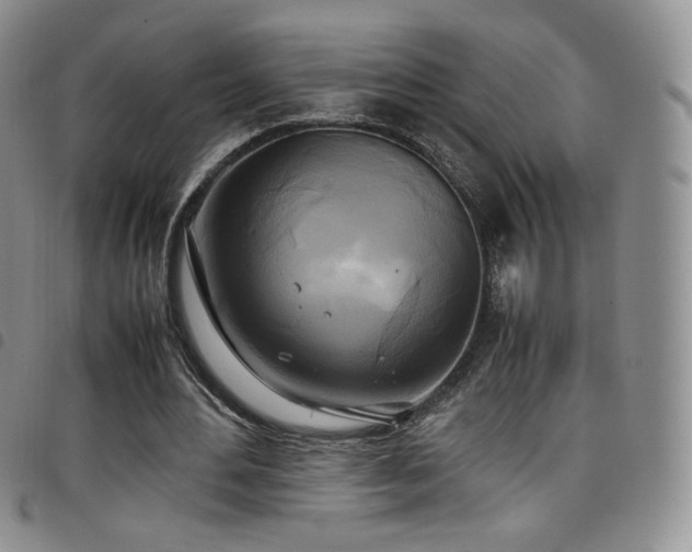 X0000099230484200804241456