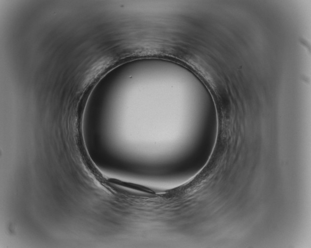 X0000099230485200804241456