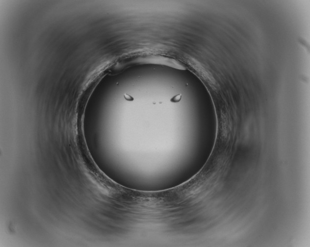 X0000099230486200804241456