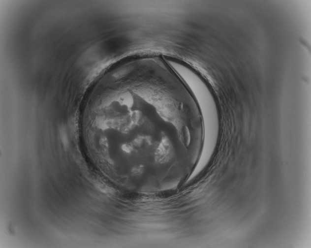 X0000099230487200804241456