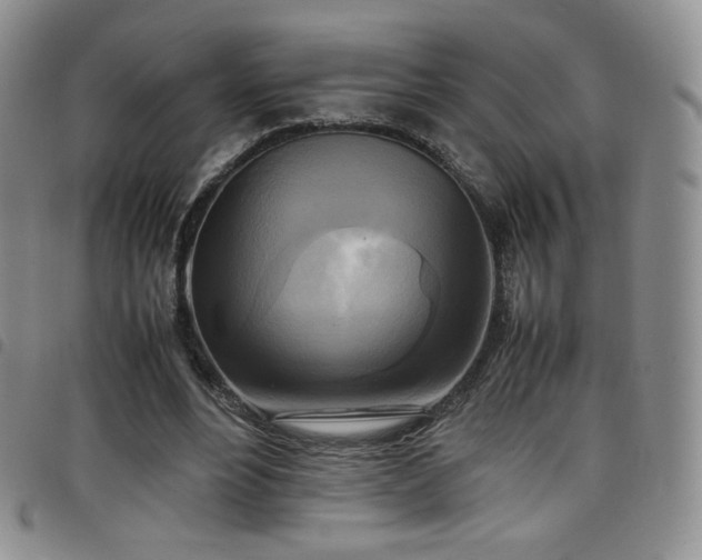 X0000099230488200804241456