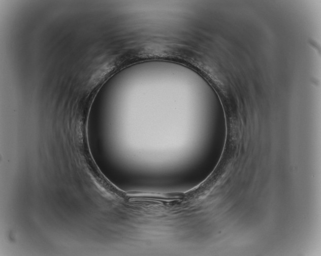 X0000099230489200804241456