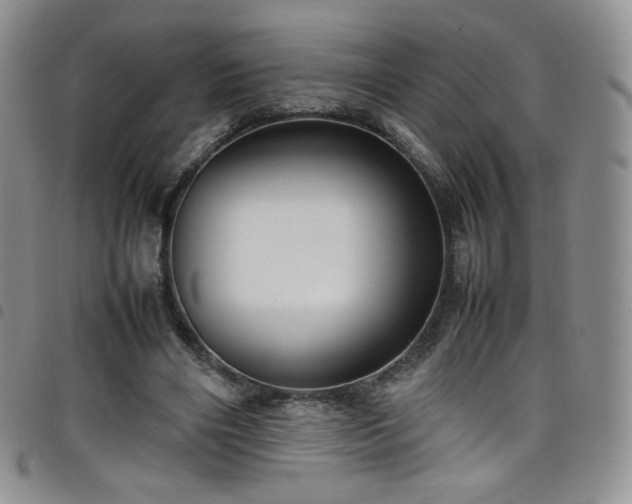 X0000099230490200804241456