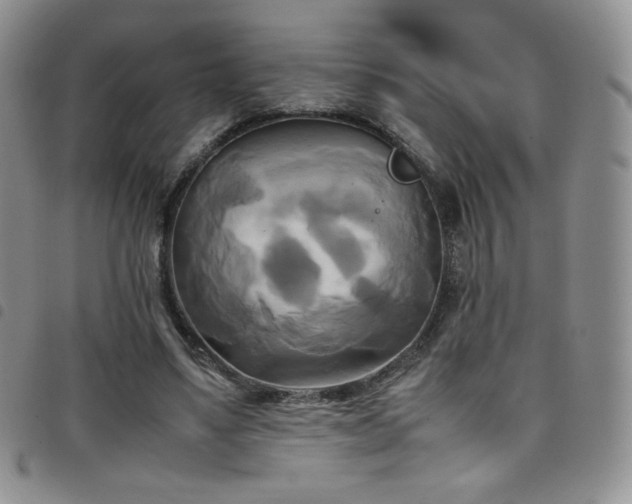 X0000099230491200804241456