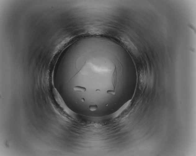 X0000099230492200804241455