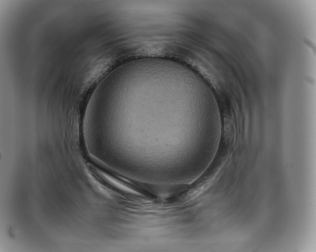 X0000099230493200804241455