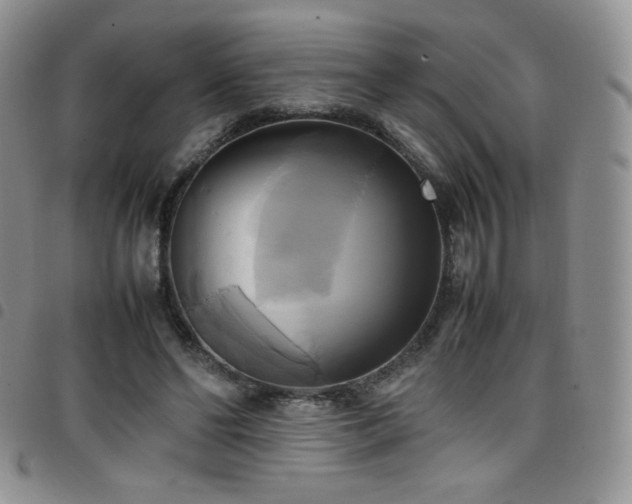 X0000099230494200804241455