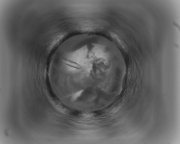 X0000099230495200804241455