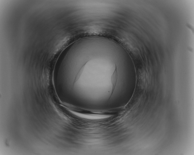 X0000099230496200804241455