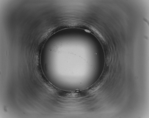 X0000099230497200804241455