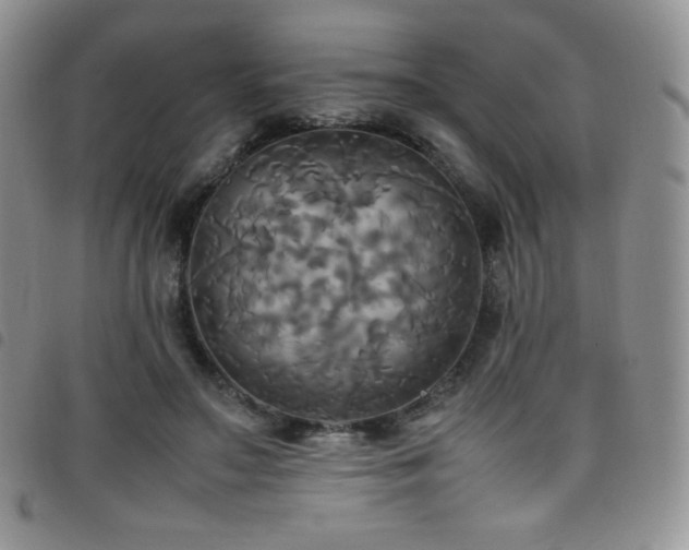 X0000099230499200804241455