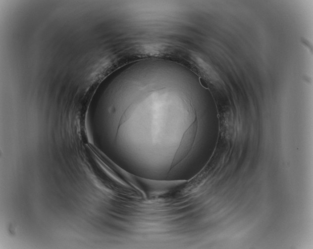 X0000099230500200804241455