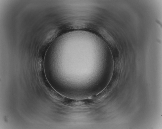 X0000099230501200804241455