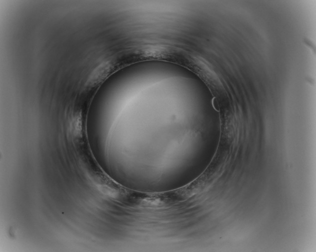 X0000099230502200804241455