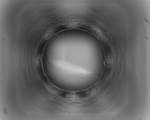 X0000099230503200804241455