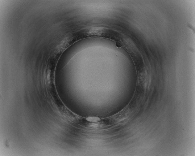 X0000099230504200804241455