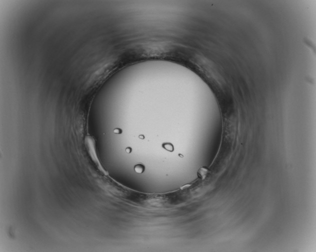 X0000099230505200804241455