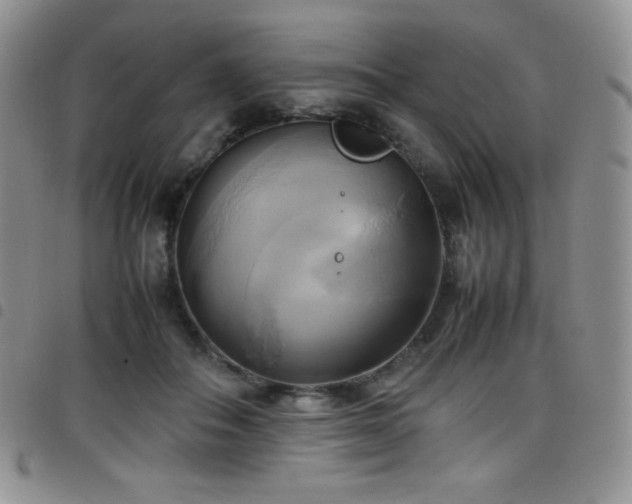 X0000099230506200804241455