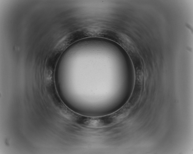 X0000099230507200804241455