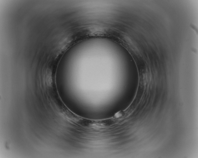 X0000099230508200804241455